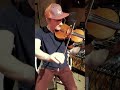 Die Violine. KÖNIGIN der Instrumente. #violine #kinderliedermacher #tonstudio #shorts #musikliebe