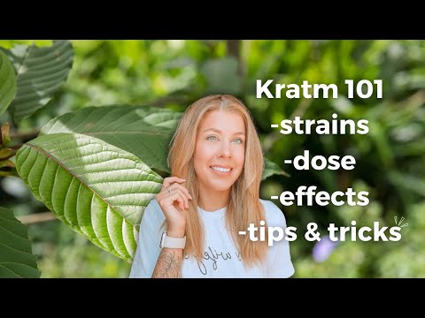 Kratom 101: Beginner's Guide to Kratom in 2024