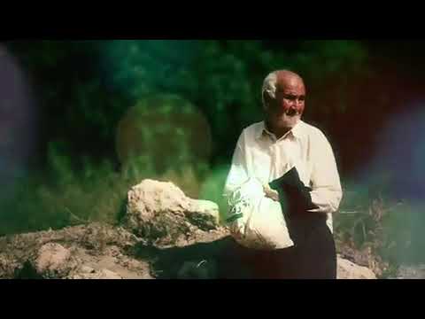 داستان تأثیر گذار تاجری که به زیارت امام رضا ع آمد