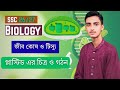 How to draw Plastid easily 💥| প্লাস্টিড আঁকার সহজ নিয়ম💥| TBS | SSC 26/27