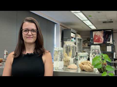 Sponges: Ancient Animals that Still Shape Our Ocean, Dr. Camille Leal, Postdoctoral Fellow