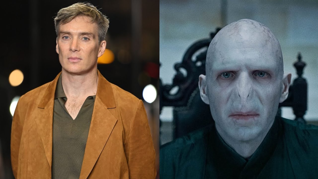 Harry Potter Then Vs Now cast evolution 🧬🧬🧬🧬🧬🧬