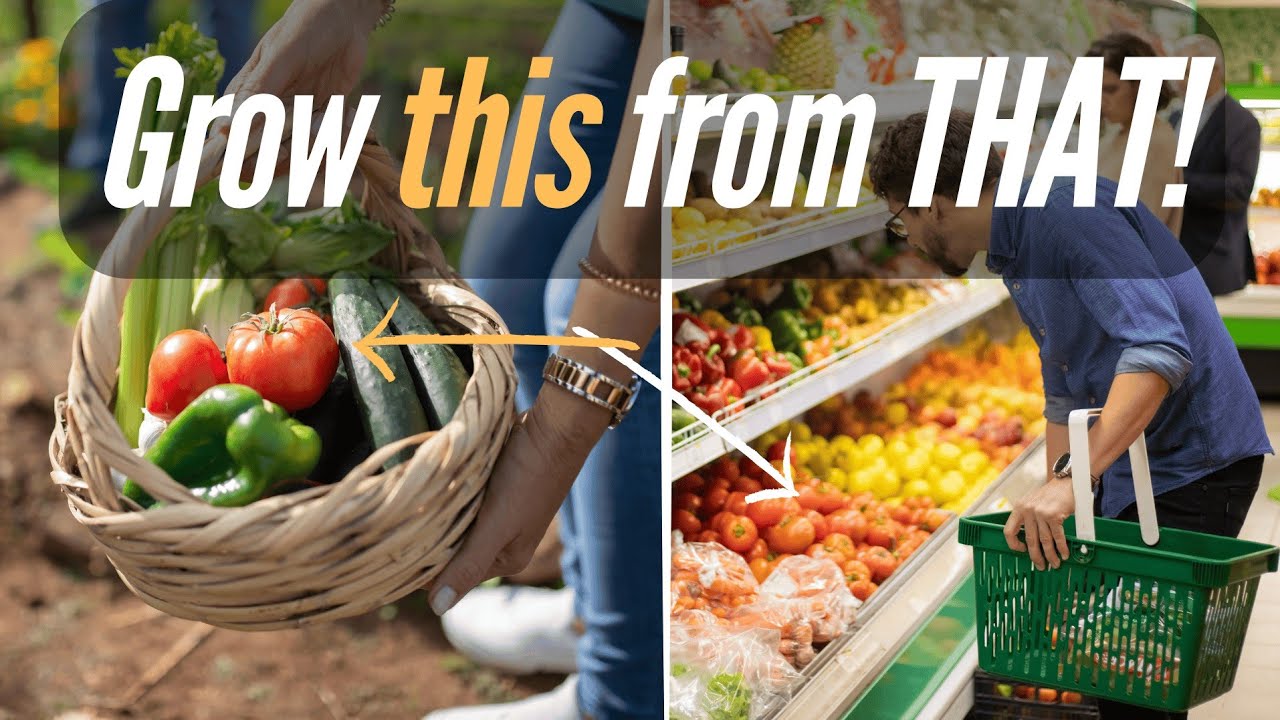 From Market to Garden | Grow Your Own Food at Home! - YouTube