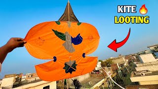 Kite looting chhat per bahut patang looti 🤩🪁