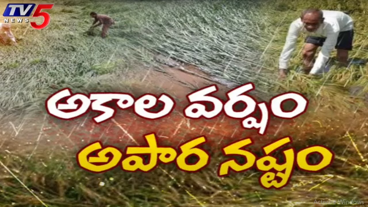 రైతన్నకు అపార నష్టం..! Heavy Rains Huge Effect On Crop Fields In ...