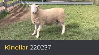 Kinellar 220237