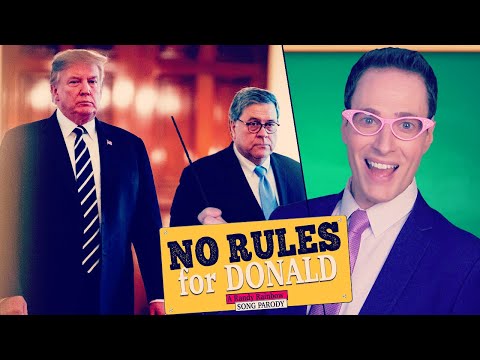 NO RULES FOR DONALD - Randy Rainbow Song Parody