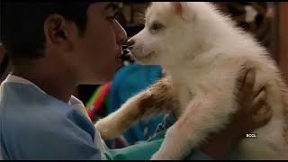 Oh My Dog Movie Review