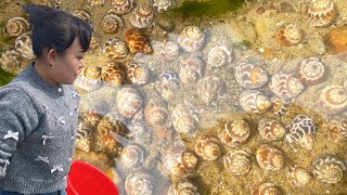 小张在海滩的一天收获颇丰，他找到了许多微小的蜗牛和巨大的面包蟹，这是一次成功的海边探险。