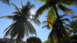 Drone: Aerial images of Miami, Fort Lauderdale, Pompano Beach and Boca Raton, Florida 