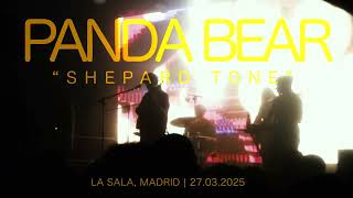 Panda Bear - Shepard Tone (Live @ La Sala, Madrid - 2025)