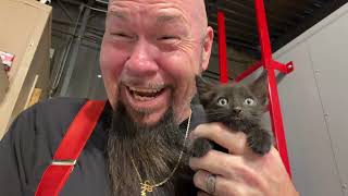 We caught all the kittens! What an adventure today!