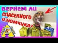 ВЕРНЕМ ЛИ ИЗЮМЧИКА? / ДР хомки КУКИ / Новогодние ПОДАРКИ для питомцев / TokyoTreat /Alisa Easy Pets