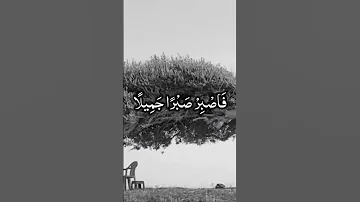 بعد الصبر جبر قران كريم 
