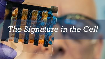 The Signature in the Cell - Stephen Meyer