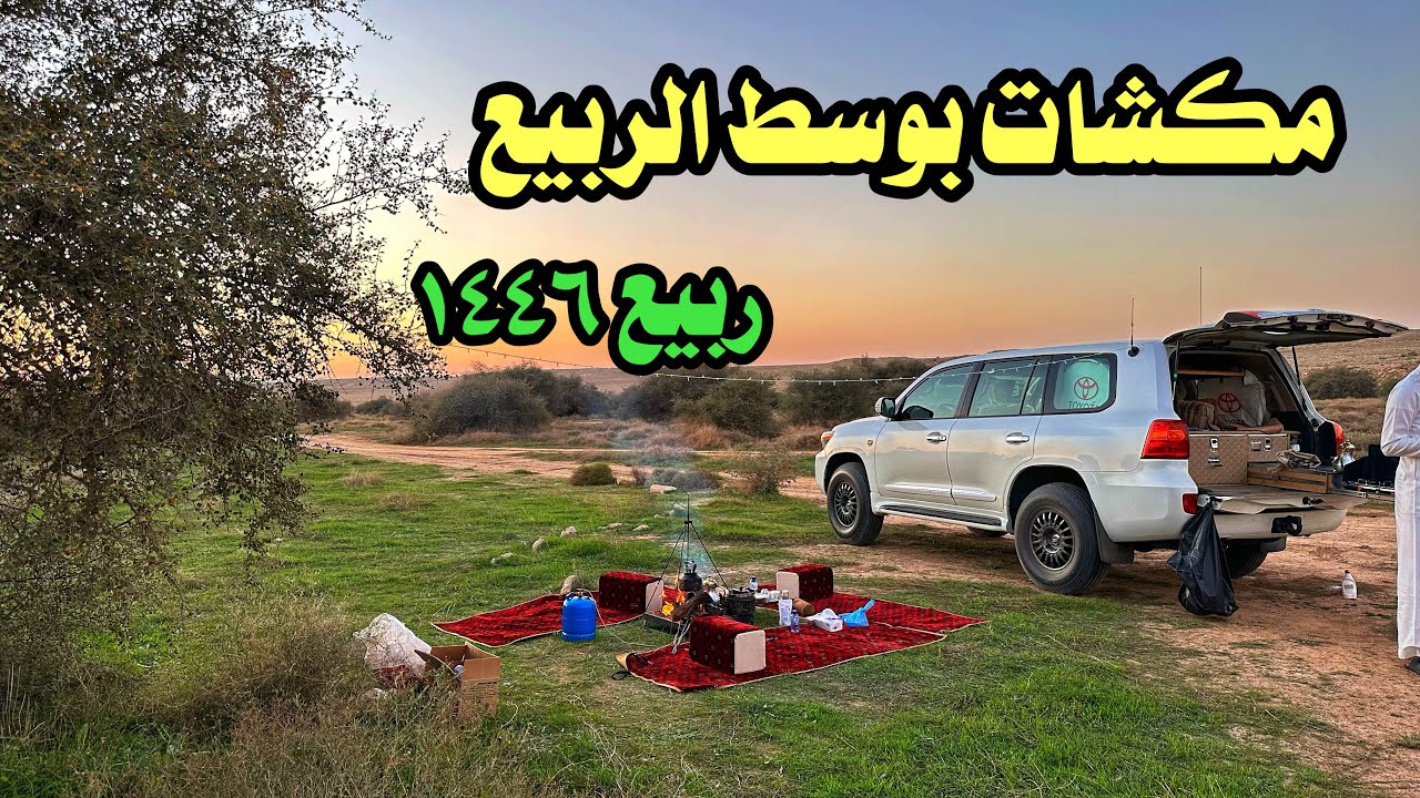 كشته في هالربيع