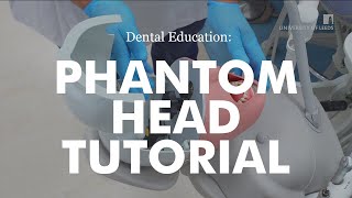 Adec Phantom Head Tutorial