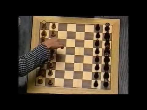 Garry  Kasparov vs Anatoly Karpov