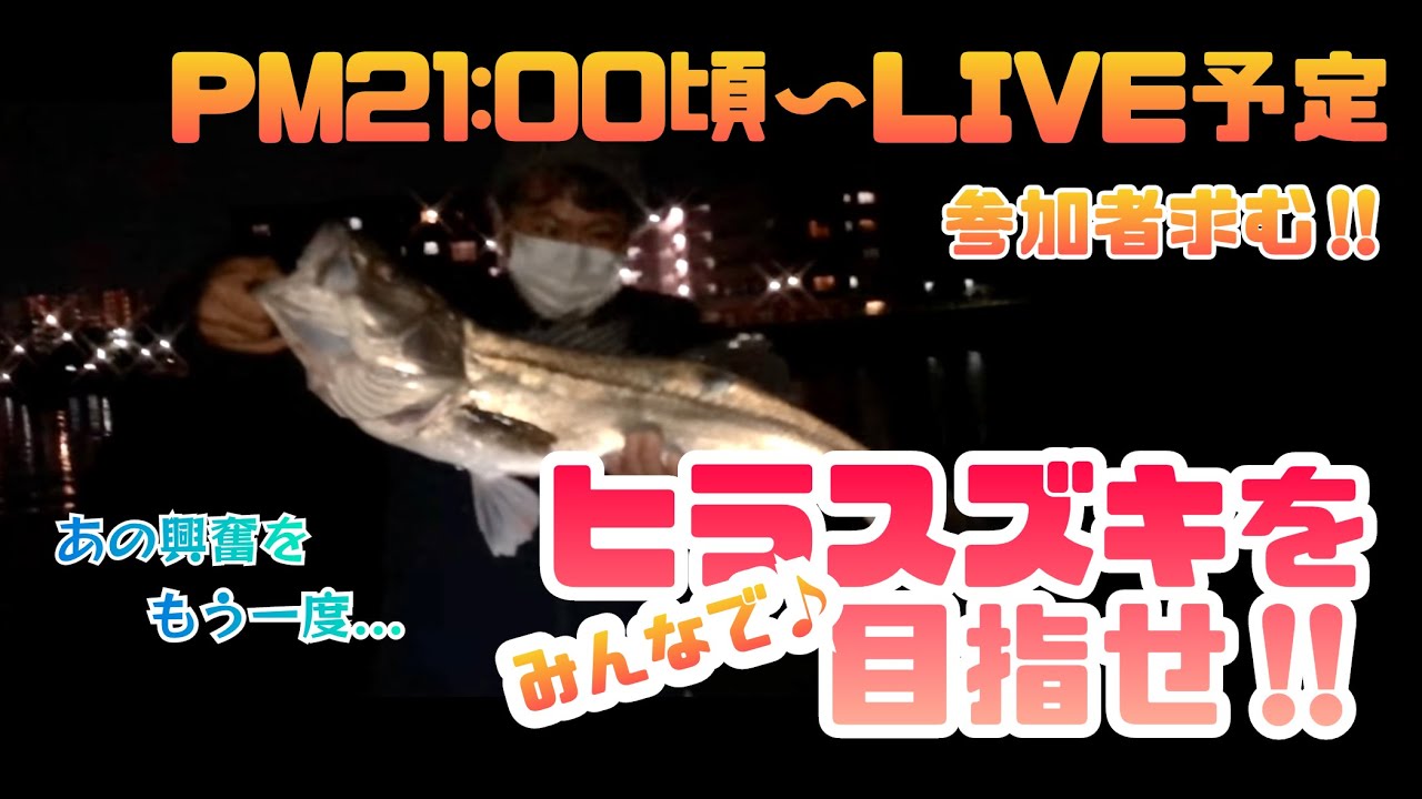 SFC海釣り名人！スズキ編 激ムズ！スズキってこんな釣り方すんの