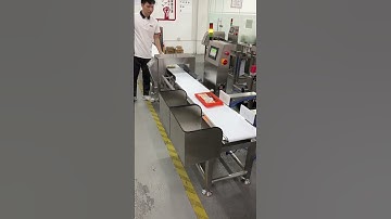High accuracy food metal detector and checkweigher all-in-one machine#metaldetector #checkweigher