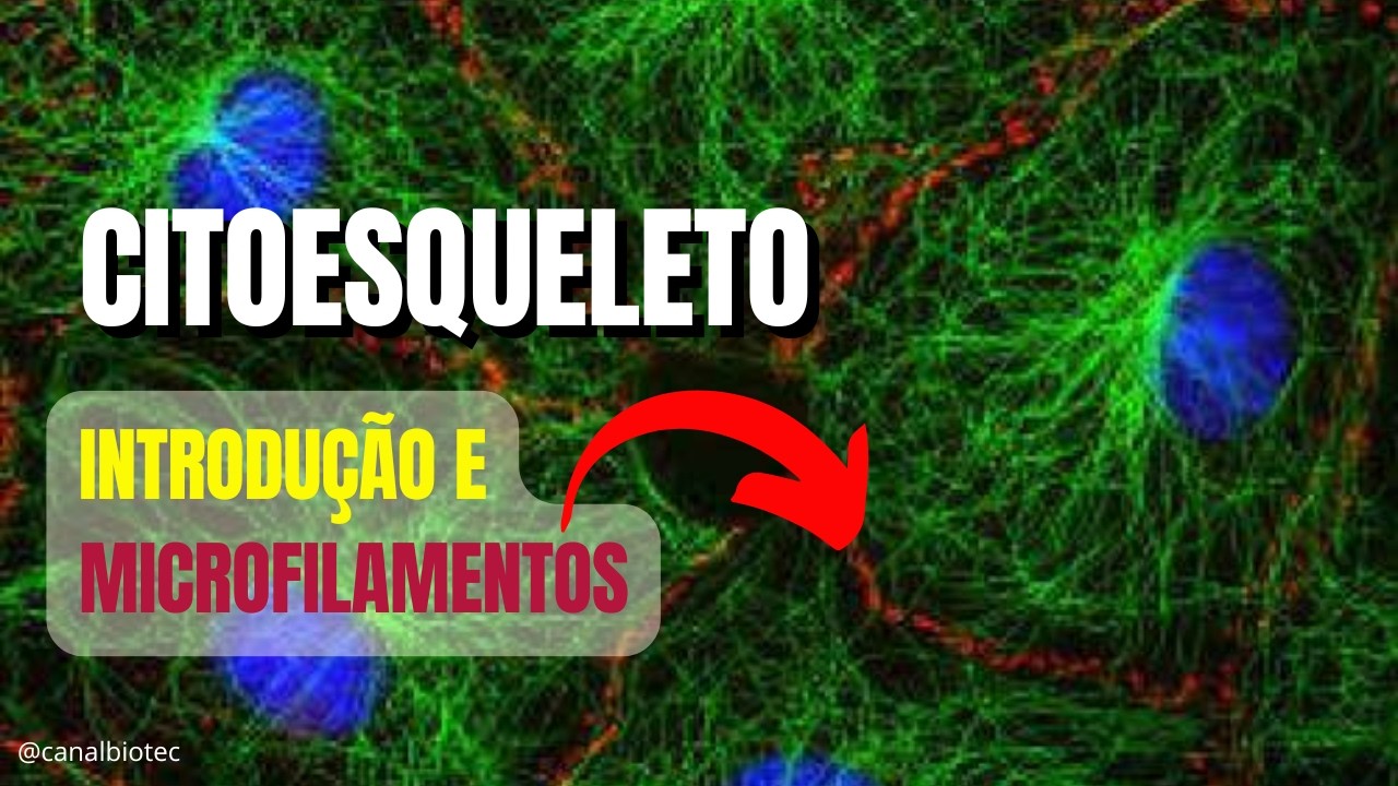 CITOESQUELETO: Introdução e Filamentos de Actina