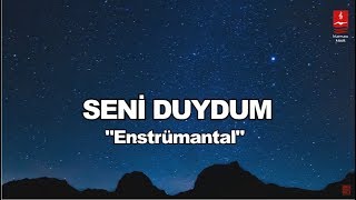 Dursun Ali Erzincanlı & Taner Demiralp \
