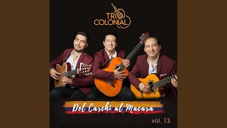 Video thumbnail of "Trío Colonial - Amor sublime"