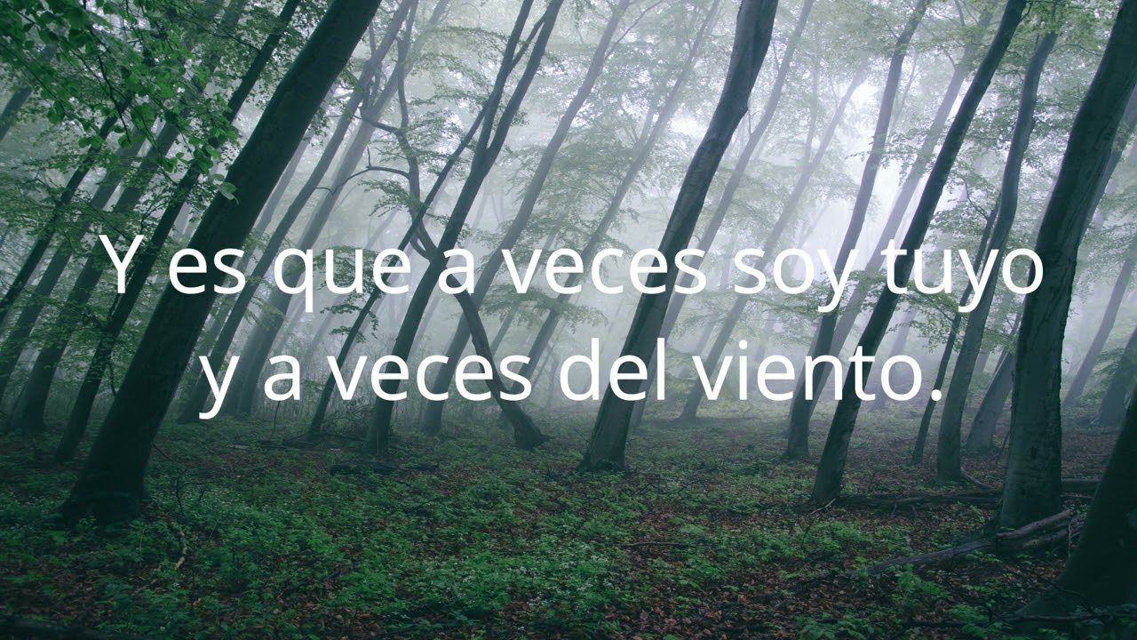 Cuando nadie me ve - Alejandro Sanz