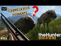 The hunter call of the wild 264 on chasse avec larme la plus puissante du jeu  silver ridge peaks