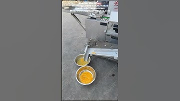 Automatic Egg Breaking Machine with Egg White and Yolk Separator