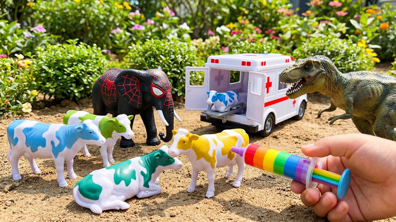 WADIDAU‼️PROSES POTONG SAPI KURBAN | PROSES MELAHIRKAN CESAR SAPI & DOMBA| Cow Videos