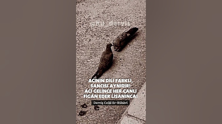Acının dili farklı, sancısı aynıdır! / Derviş Celâl Er-Rühâvî