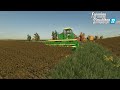 Beans are dried out and ready to harvest 80s roleplay Westby Wisconsin
