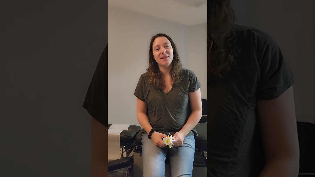 Anatomy Part 2 with Dr. Hebdon #babychiropractor #chiropractor