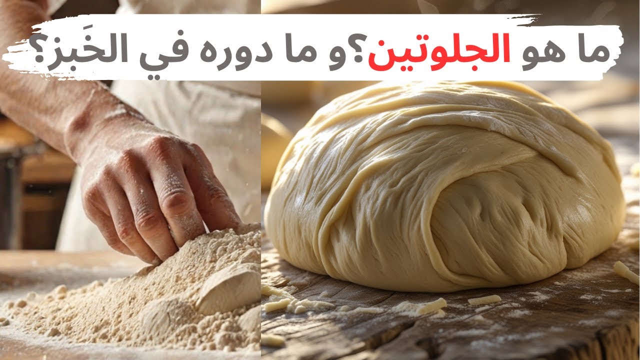 ما هو الجلوتين؟ السر الخفي وراء نجاح أو فشل المخبوزات |  Gluten