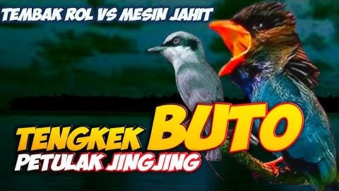 MASTERAN SUPER MESING JAHIT PETULAK JINGJING VS TENGKEK BUTO POWER NEMBAK || TENGKEK BUTO JINGJING