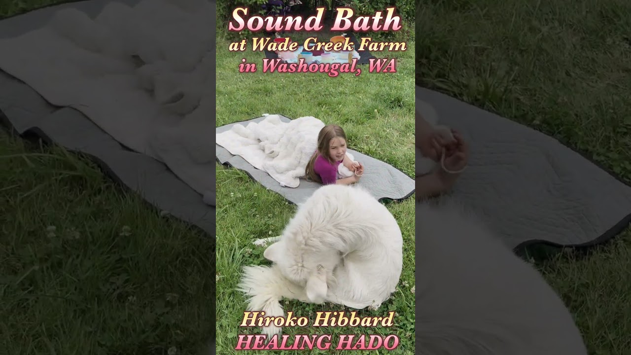 【Hado Healing】Forest Sound Bath at the Wade Creek Farm