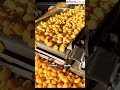 😱 3000+ Puri 1 Hour Me Kaise Fry Hoti Hai? 🔥 | Panipuri Fryer Machine #shorts