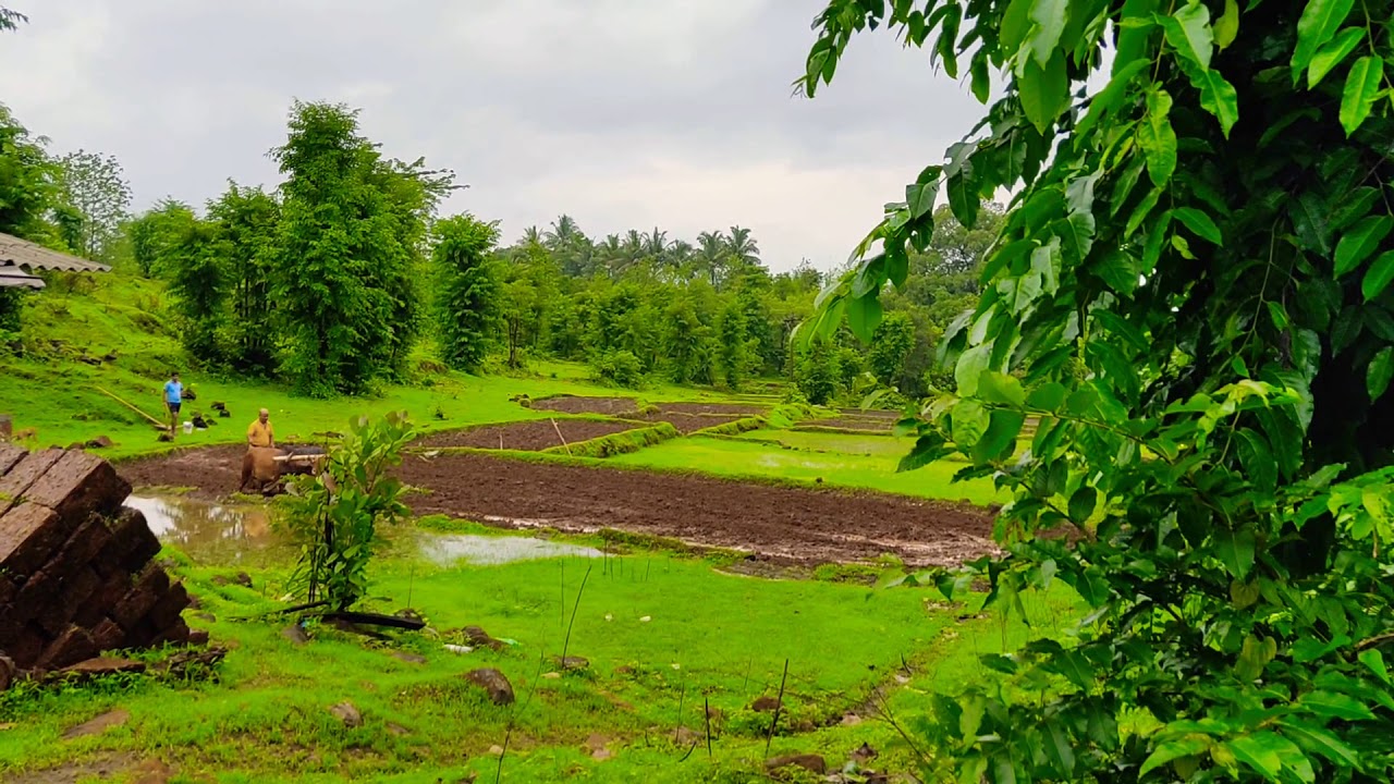 konkan kanya agri tourism mukhai