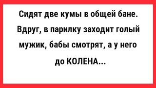 Сидят две кумы в общей бане. Сборник Свежих Анекдотов! Юмор!