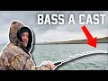 Bass a cast   uk sea fishing with gamekeeper john