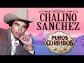 Chalino Sanchez - Puras Música Perronas Para Pistear - Corridos Mix Chingones