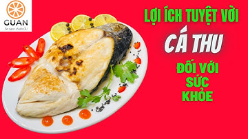 Lợi ích của cá thu  với sức khỏe|Guan.vn - Dacsan24h.vn | Zalo: 0906.685.567 - 0345.729.299