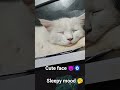 #CuteCats, #SleepyCat, #CatLovers, #Relaxing, #CatVideos # viral short