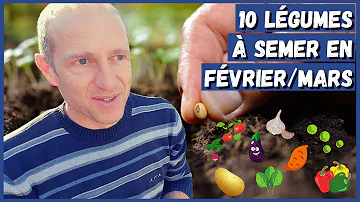 Quels légumes semer en pleine terre ?