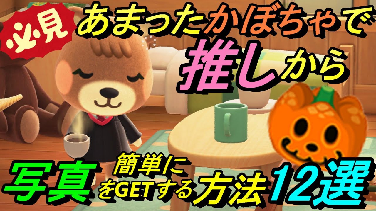 【あつ森】あまったかぼちゃで推しから写真はもらえるのか？【検証動画】