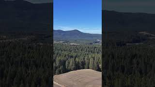 From the field edge into the timber, North Idaho