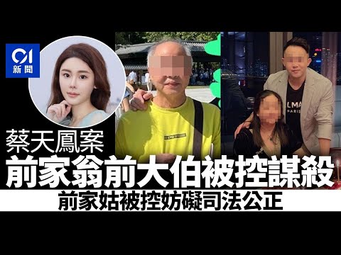 蔡天鳳案｜警暫控前家翁和前大伯謀殺 前家姑被暫控妨礙司法公正｜01新聞｜突發｜龍尾村｜Abby｜鄺港智