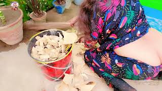 Todays Cleaning Video 16 April 2025