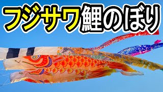 ゴールデン フジサワ鯉 旭化成ナイロン 鯉のぼり4~6m 000000005064-01.jpg?size=m&w=